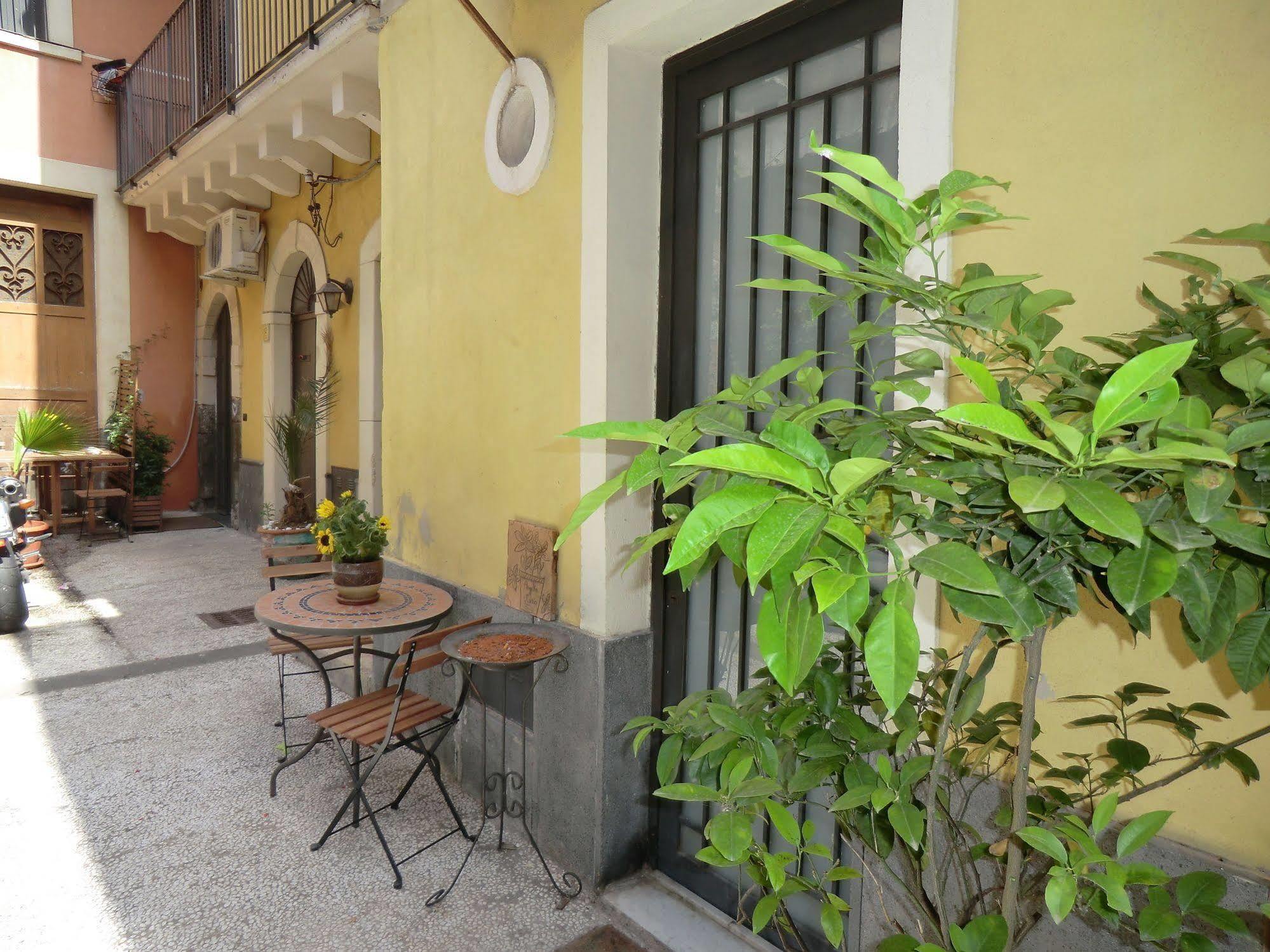 Villa Globetrotter CTA Exterior foto